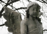 YOUNG ANGEL - 8 x 10 Original Print Signed - Cemetery Photography