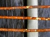Traditional Walking Sticks