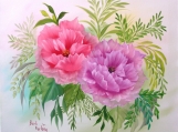 Poppies #809