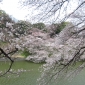 Bijin