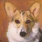 Pet Portraits by Deena