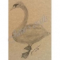 janescrafts